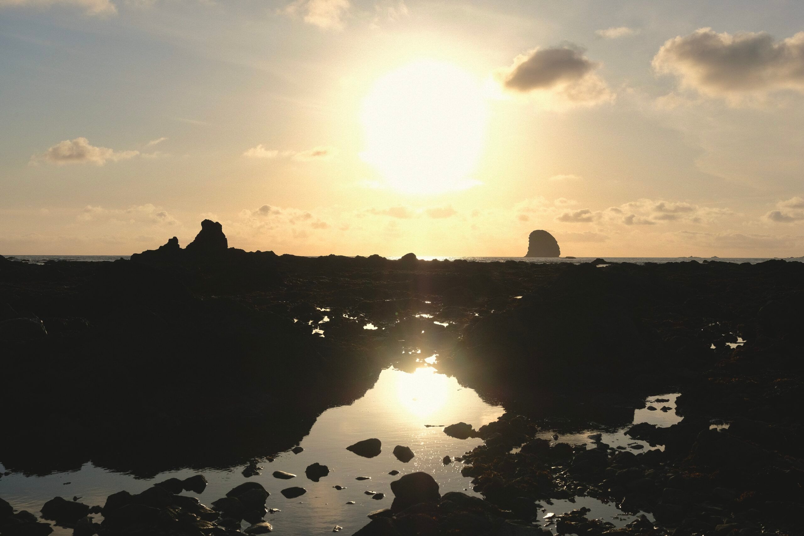 Trail By Error in Washington: ever westward, towards the sun