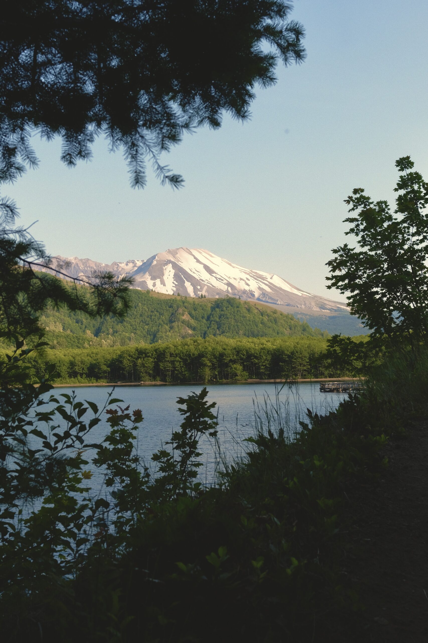 Trail By Error In Washington: Wisdom Of Water