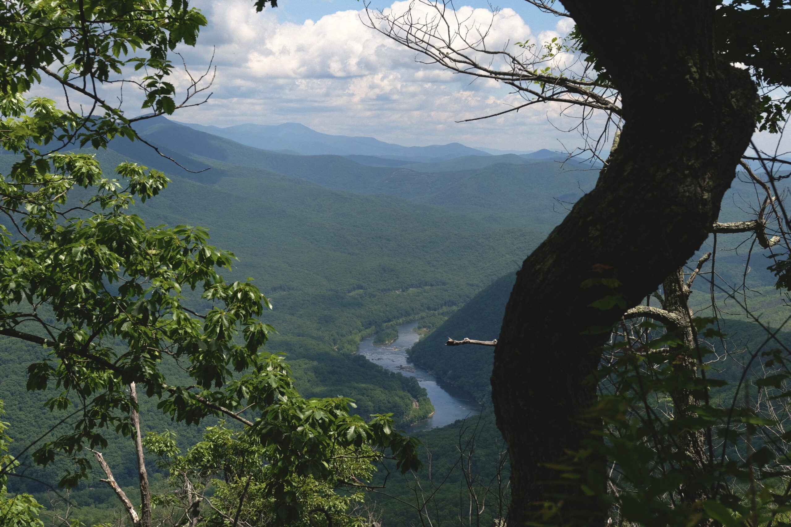 Trail By Error in Washington (Somewhat): When it Rains, We Get Wet and Ramblings from Seattle